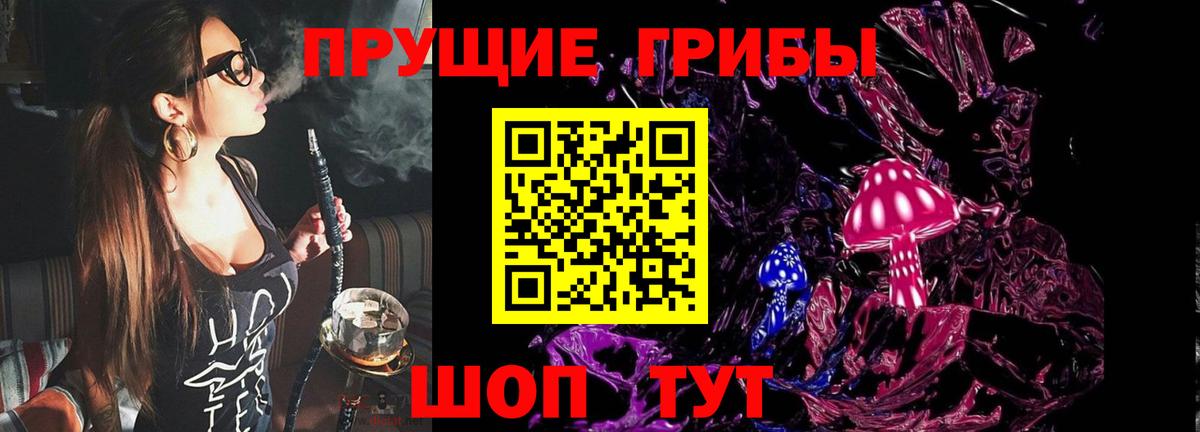 Псилоцибиновые грибы Psilocybe Асбест