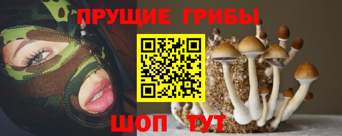 Асбест  Псилоцибиновые грибы GOLDEN TEACHER  Вход с VPN 